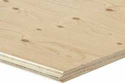 Underlayment Elliotis Pine Brazifloor 18mm Dikte: 18mm  Afmeting 1220x2440 mm 